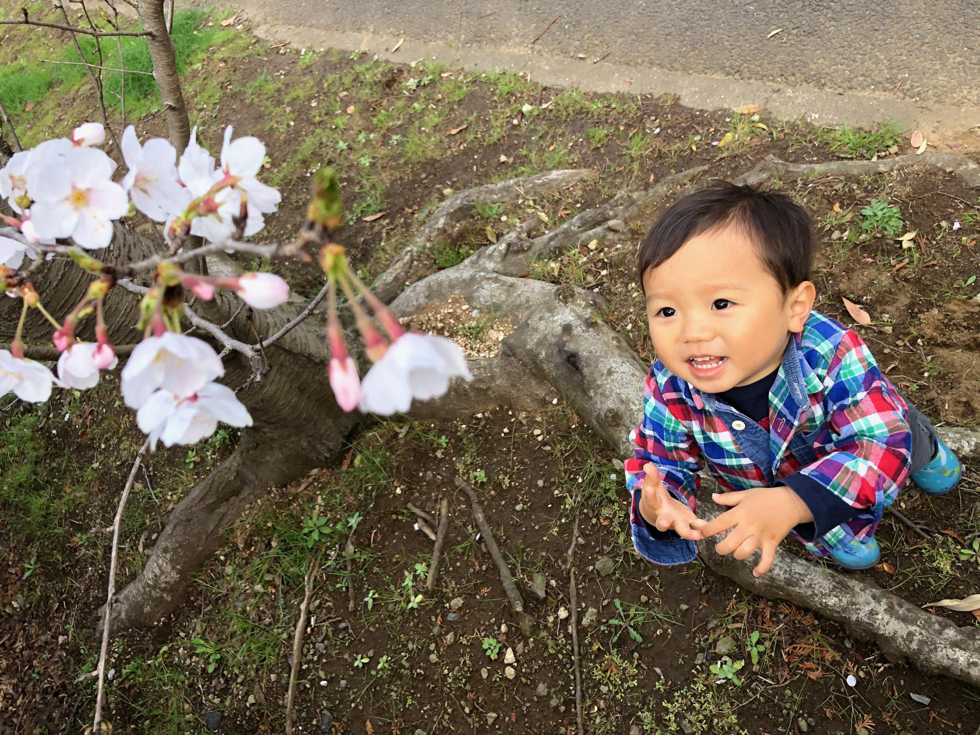 久保 さくたろう