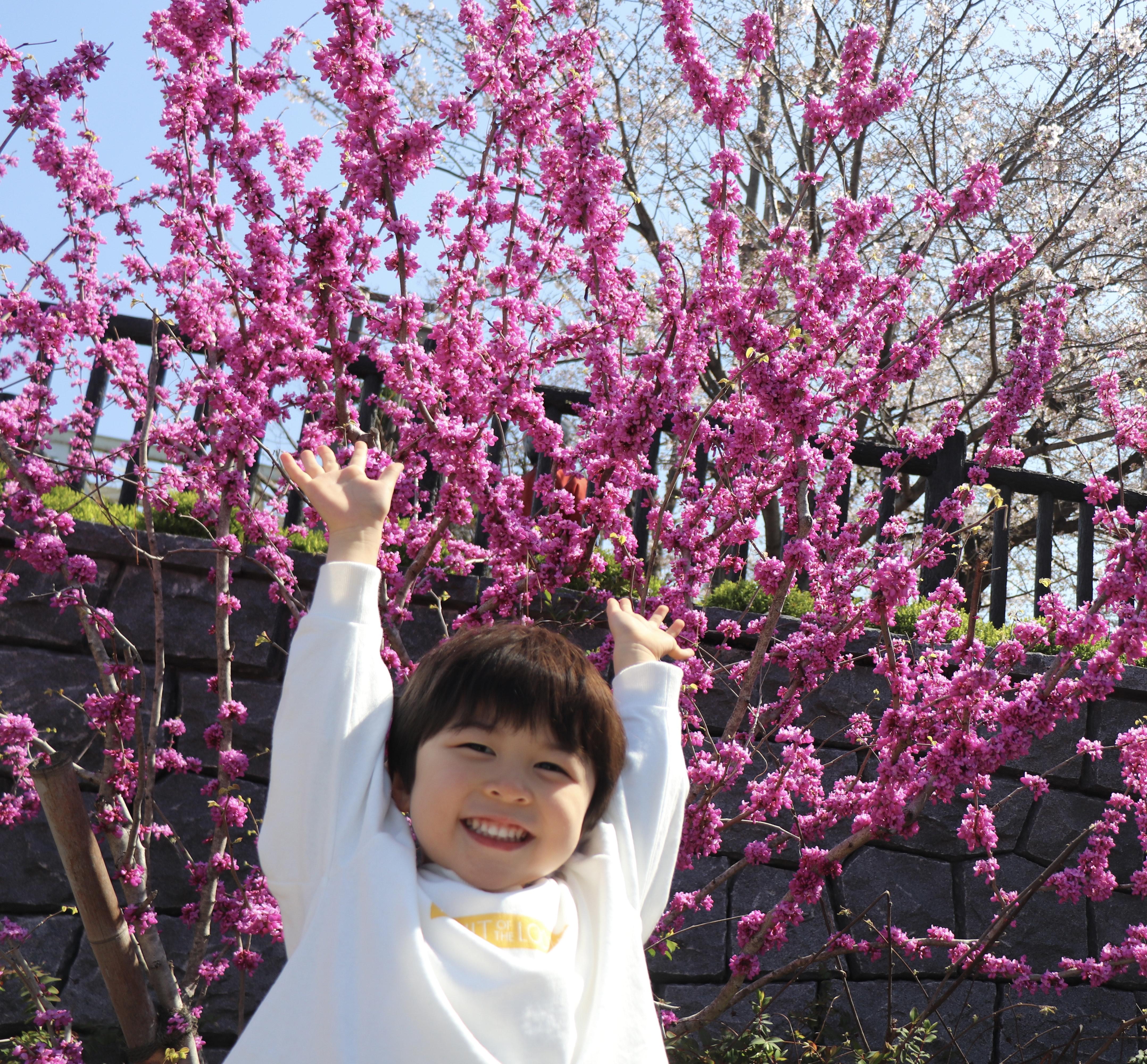 秋本 こうたろう